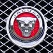 Jaguar car enthusiasts category